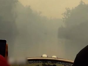 Video: Kebakaran di Taman Nasional Tanjung Puting Kian Meluas