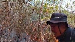 Kebakaran Lerang Gunung Lawu Meluas, Capai 490 Hektare
