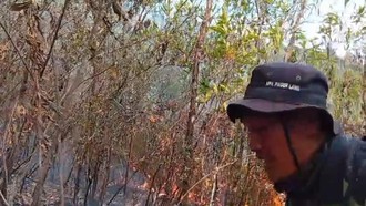 Kebakaran Lerang Gunung Lawu Meluas, Capai 490 Hektare