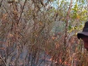 Kebakaran Lerang Gunung Lawu Meluas, Capai 490 Hektare