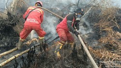 Hotspot Sumsel Turun Jadi Ratusan Titik, Lahan Gambut OKI Terbanyak