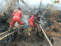 Hotspot Sumsel Turun Jadi Ratusan Titik, Lahan Gambut OKI Terbanyak