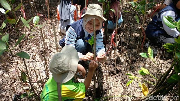 Penanaman mangrove dan bersih-bersih sampah di Surabaya Penanaman mangrove dan bersih-bersih sampah di Surabaya