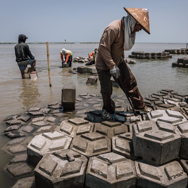 Persiapan Giant Sea Wall Pantura, Struktur Pemecah Ombak Disiapkan di Demak