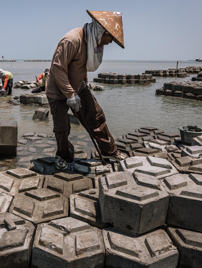 Persiapan Giant Sea Wall Pantura, Struktur Pemecah Ombak Disiapkan di Demak