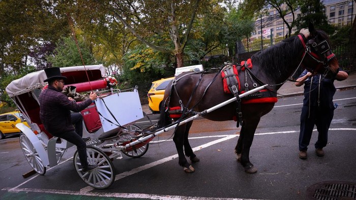 A handler guides a carriage horse outside the Clinton Park Stables on Manhattan’s West side ahead of working in Central Park after Mayor Zohran Mamdani and the leader of the New York City council agreed to ban horse-drawn carriages beginning in 2028 in New York City, U.S., October 16, 2026. REUTERS/Mike Segar
