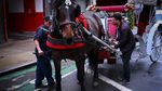 Setelah 150 Tahun, Kereta Kuda Ikonik di Central Park Terancam Pensiun