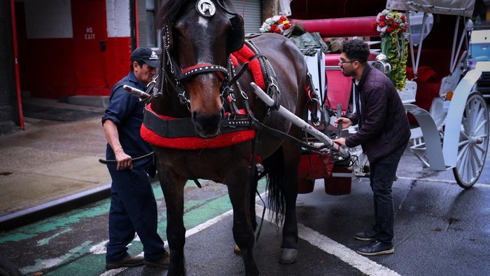 Setelah 150 Tahun, Kereta Kuda Ikonik di Central Park Terancam Pensiun A handler guides a carriage horse outside the Clinton Park Stables on Manhattan’s West side ahead of working in Central Park after Mayor Zohran Mamdani and the leader of the New York City council agreed to ban horse-drawn carriages beginning in 2028 in New York City, U.S., October 16, 2026. REUTERS/Mike Segar