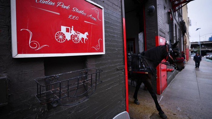 Setelah 150 Tahun, Kereta Kuda Ikonik di Central Park Terancam Pensiun A handler guides a carriage horse outside the Clinton Park Stables on Manhattan’s West side ahead of working in Central Park after Mayor Zohran Mamdani and the leader of the New York City council agreed to ban horse-drawn carriages beginning in 2028 in New York City, U.S., October 16, 2026. REUTERS/Mike Segar