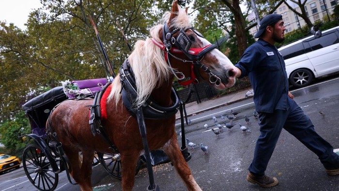 Setelah 150 Tahun, Kereta Kuda Ikonik di Central Park Terancam Pensiun A handler guides a carriage horse outside the Clinton Park Stables on Manhattan’s West side ahead of working in Central Park after Mayor Zohran Mamdani and the leader of the New York City council agreed to ban horse-drawn carriages beginning in 2028 in New York City, U.S., October 16, 2026. REUTERS/Mike Segar