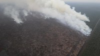 Karhutla dan Ancaman Kabut Asap Lintas Negara, Sejauh Mana Penanganannya?
