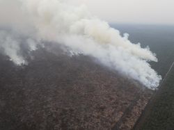 433 Titik Panas Terdeteksi di Lampung, BMKG Singgung Ulah Manusia