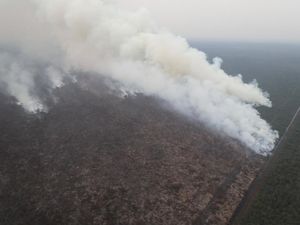Karhutla dan Ancaman Kabut Asap Lintas Negara, Sejauh Mana Penanganannya?