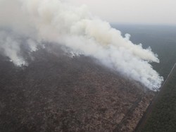 Karhutla dan Ancaman Kabut Asap Lintas Negara, Sejauh Mana Penanganannya?