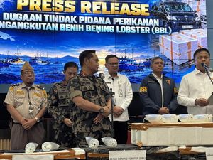 Penyelundupan 73 Ribu Benih Lobster ke Vietnam Rugikan Negara Rp 178 M