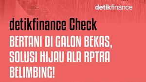 Video detikfinance Check: Bertani di Galon Bekas, Solusi Hijau ala RPTRA Belimbing!