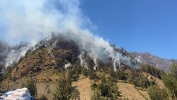 Video: Korban Meninggal Terjebak Karhutla Bromo Jadi 5 Orang