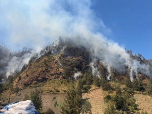Karhutla Gunung Bromo Masih Berlanjut, Ini Kata BPBD Probolinggo