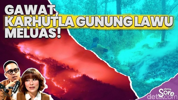 Video: Benarkah Human Error Jadi Penyebab Karhutla Gunung Lawu? 