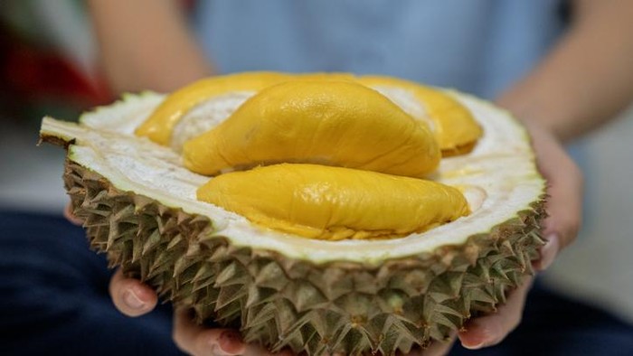 Durian Musang King. Ilustrasi
