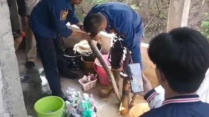 Anggota Damkar Boyolali mengevakuasi ular yang masuk kamar mandi Pondok Pesantren Afaada, Bakalan, Tanduk, Ampel, Boyolali, Senin (19/10/2026) pagi.