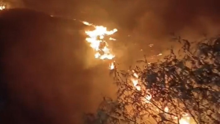 Kebakaran Petak 29 Gunung Sumbing via Gajahmungkur, Kecamatan Kalikajar, Kabupaten Wonosobo, Senin (19/10/2026) malam.