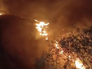 Petak 29 Gunung Sumbing Wonosobo Terbakar, 71 Pendaki Dievakuasi