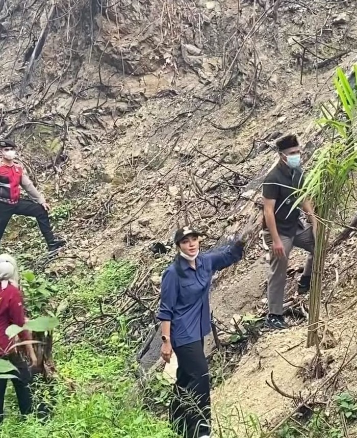 Lahan bekas karhutla di Sumbar ditanami sawit (dok. Instagram Bupati Dharmasraya)