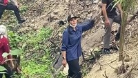 Ketahuan! Lahan Bekas Karhutla di Sumbar Malah Ditanami Sawit