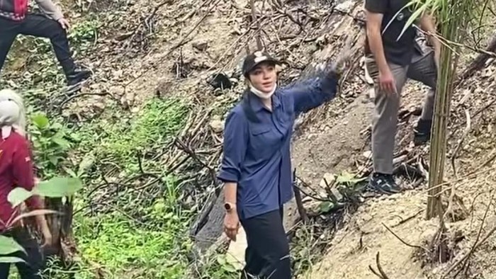 Lahan bekas karhutla di Sumbar ditanami sawit (dok. Instagram Bupati Dharmasraya)