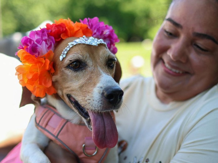 A woman and her dog attend the inaugural Beagle Gathering at Omar Park in Panama City, Panama, October 18, 2026. REUTERS/Aris Martinez