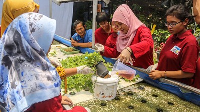 Pelatihan Hidroponik Inklusif Buka Peluang Kemandirian Ekonomi di Semarang