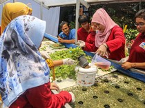 Pelatihan Hidroponik Inklusif Buka Peluang Kemandirian Ekonomi di Semarang