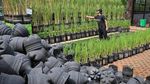 Inovasi Pertanian Ramah Lingkungan di Pasar Minggu