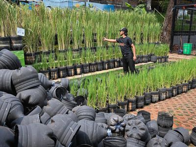 Inovasi Pertanian Ramah Lingkungan di Pasar Minggu