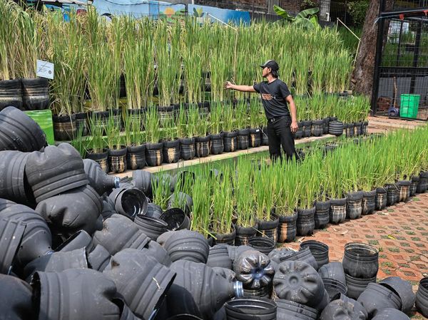 Inovasi Pertanian Ramah Lingkungan di Pasar Minggu