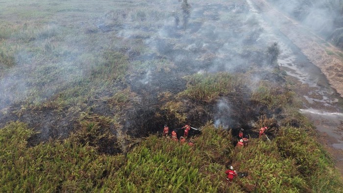 Petugas melakukan pemadaman di Taman Nasional Berbak dan Sembilang, Jambi