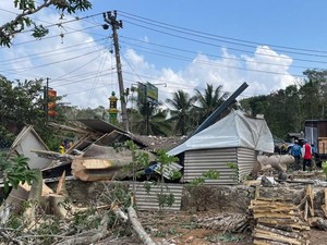 Brakk! Warung di Panggang Gunungkidul Ketiban Pohon Kapas Jumbo