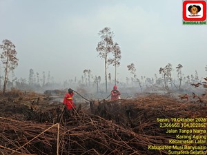Ratusan Hektare Lahan di Tujuh Daerah Sumsel Masih Terbakar
