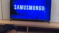 Viral Beli TV Harga Cuma Rp 500 Ribu, Saat Menyala Logonya Bikin Ngakak