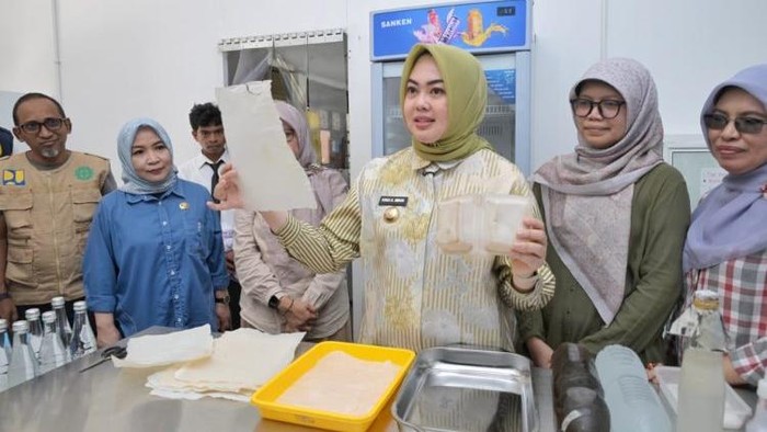 Wali Kota Kendari, Siska Karina Imran