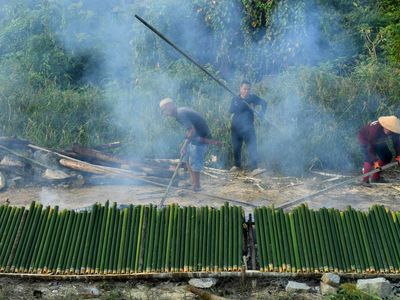 Warga membakar lemang di Desa Long Pahangai, Mahakam Ulu, Kalimantan Timur, Senin (19/10/2026). Warga suku Dayak Bahau bergotong royong membakar sekitar 500 lemang yang dipersiapkan untuk menjamu para tamu Festival Hudoq 2026 yang akan berlangsung pa