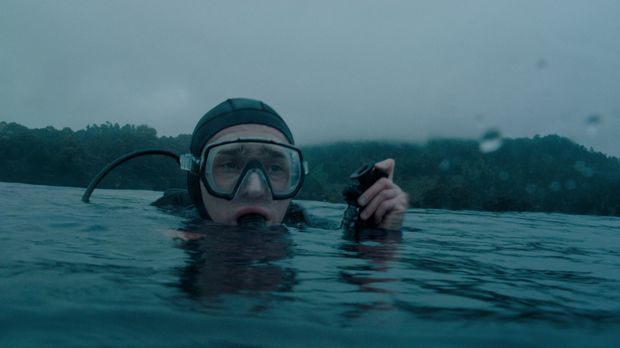Whalefall (2026).