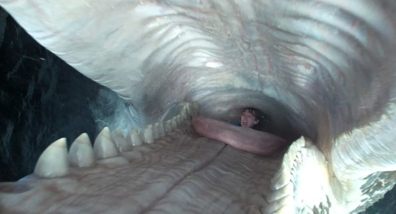 Whalefall (2026).