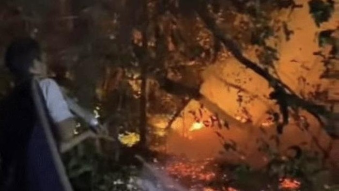 Api di TN Tanjung Puting mulai merembet ke Pesalat yang berbatasan langsung dengan hutan inti.