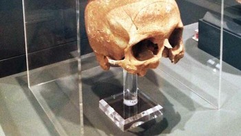 Helm Korintus & Tengkorak Prajurit Pertempuran Marathon (490 SM). Helm perunggu kuno yang dipajang di museum dengan tengkorak manusia asli dari prajurit Yunani Kuno di dalamnya. Foto: Boredpanda