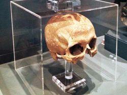 Deretan Artefak Kuno Paling Misterius di Dunia, Nomor 4 Bikin Merinding!