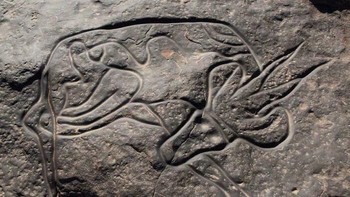 Ukiran Batu Sleeping Antelope (Tassili Najjer, Aljazair). Seni cadas/petroglyph Neolitik di dinding batu gurun Sahara yang menggambarkan rusa purba dengan goresan elegan. Foto: Boredpanda