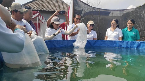 Dinas Perikanan Badung saat menebar benih lele di kelompok budidaya lele di Desa Darmasaba, Kecamatan Abiansemal, Selasa (20/10/2026)