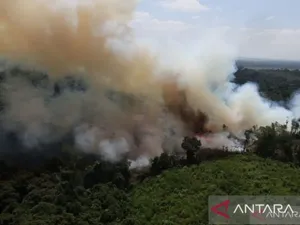 32 Perusahaan Biang Kerok Karhutla Dibekukan